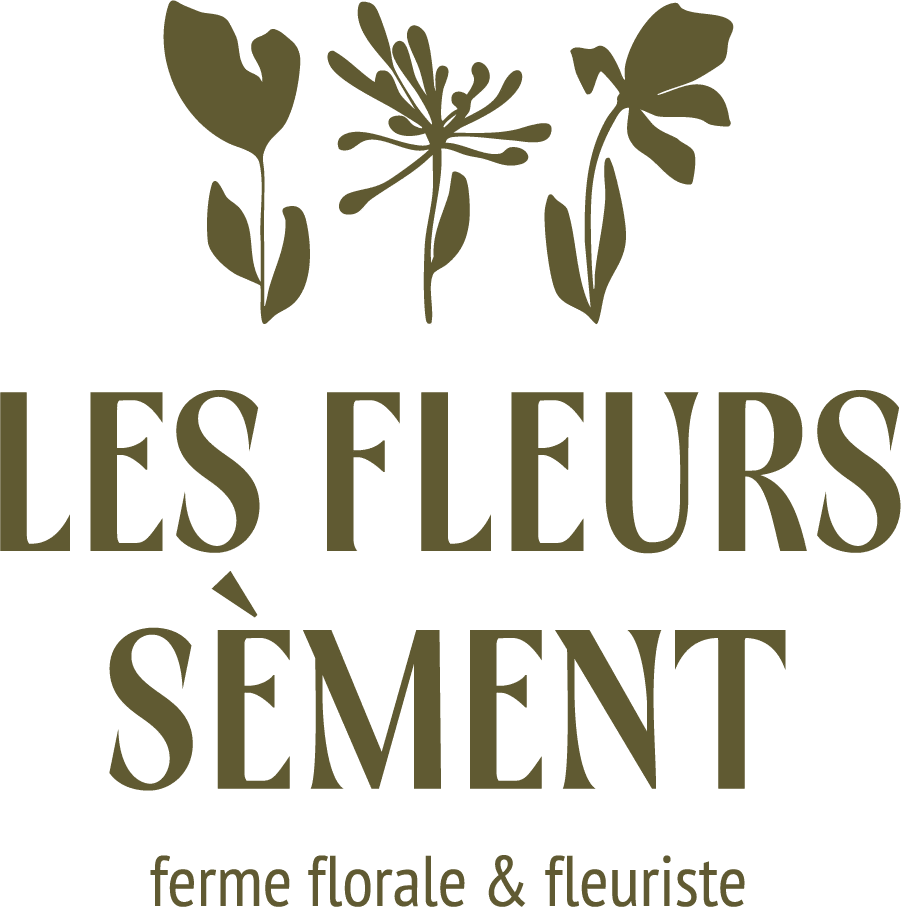 les-fleurs-sement-vertical-mousse-rgb-900px-w-300ppi-c629b9a38a9b81b0b47e2f37068db8fe