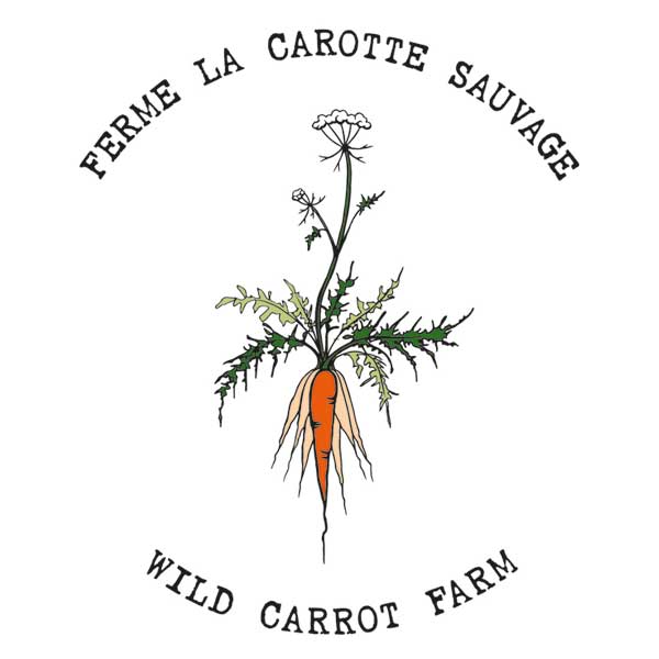 logo-ferme-la-carotte-sauvage
