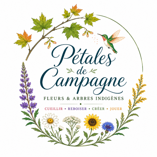 petales_logo