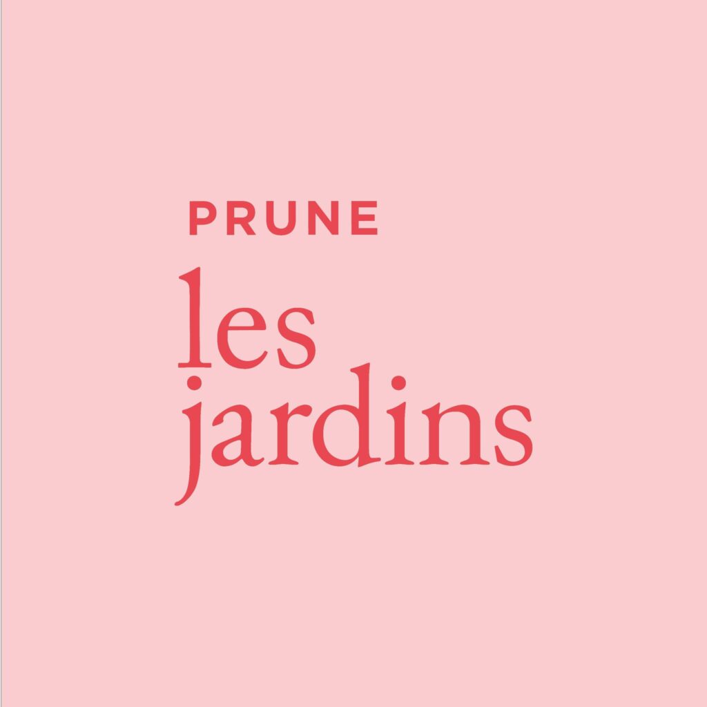 337513105_777178140136780_859704192819507429_n