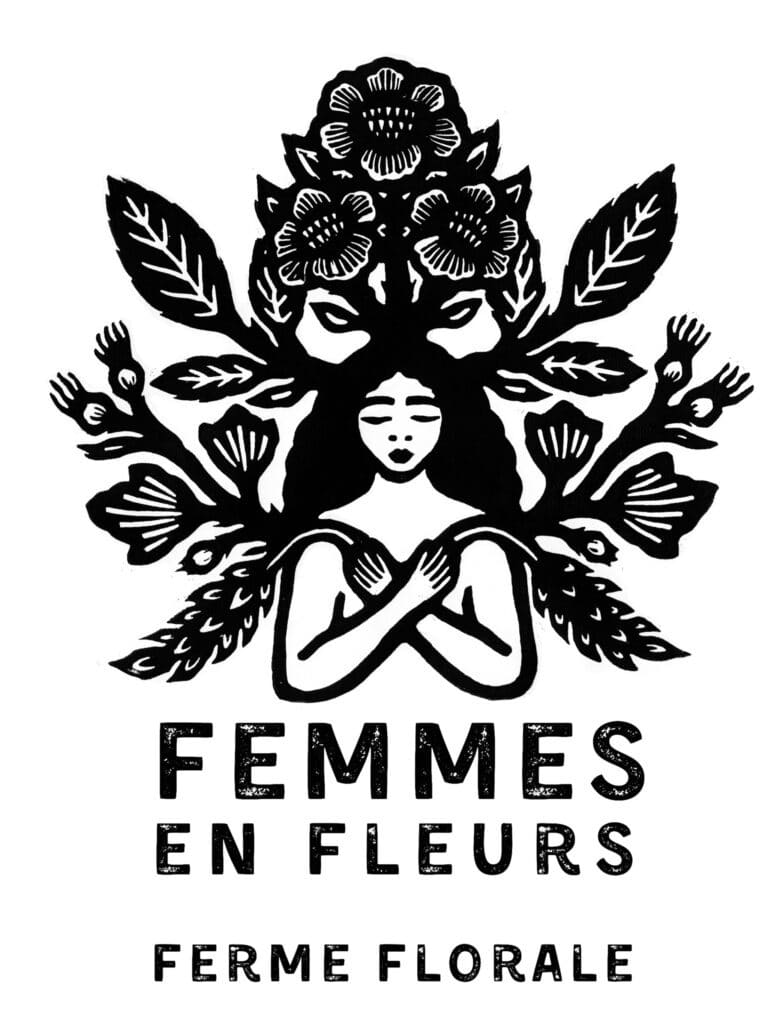 image-6487327-2-e720c0e71501dc02a6c552939664edf4