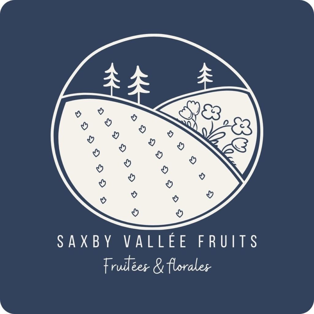 logo-cb1e653ce144d5de005df9295b7fdad1