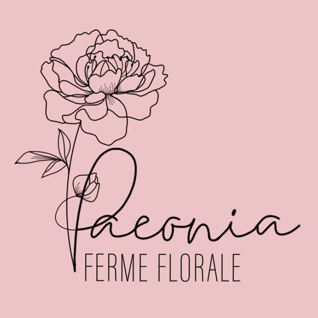 paeonia-rose-3dcd81f7aa3bf54825373073ed6e988d