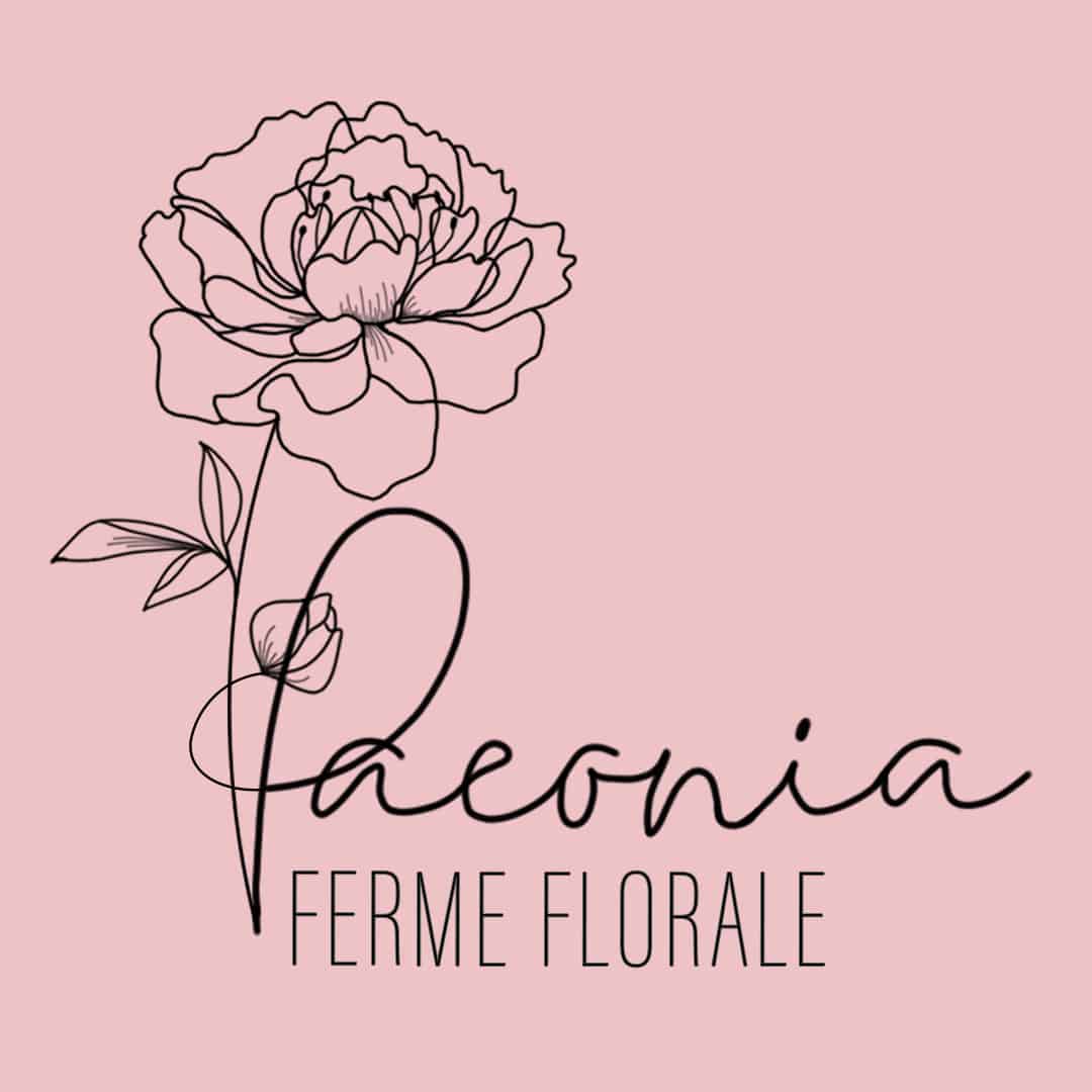 paeonia-rose-3dcd81f7aa3bf54825373073ed6e988d