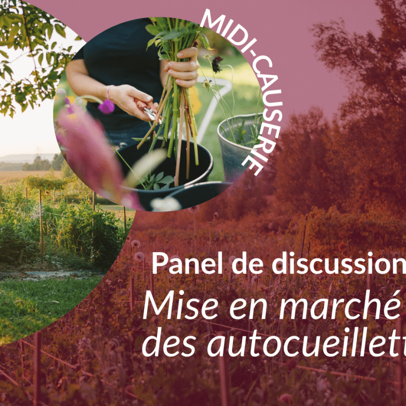 journéefleurs (2)